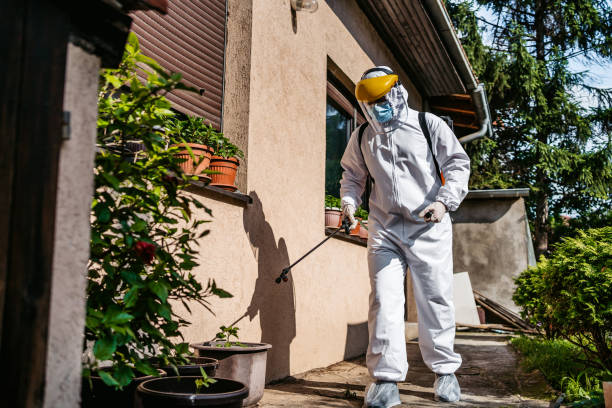 Best Affordable Pest Control Services  in Wilson, OK