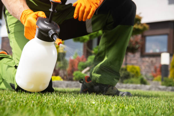 Best Wildlife Control Services  in Wilson, OK
