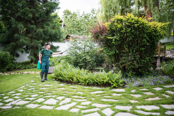 Best Residential Pest Control  in Wilson, OK