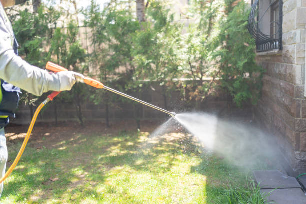Best Best Pest Control Companies  in Wilson, OK