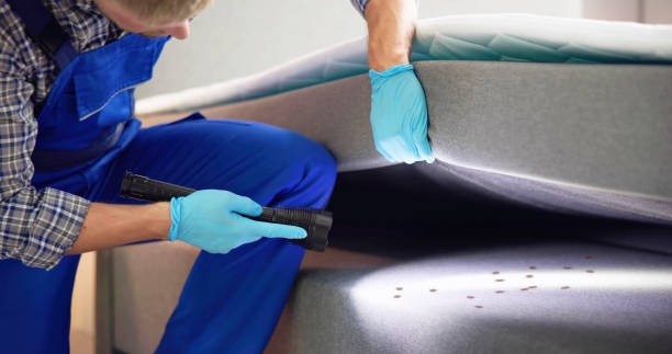 Best Cockroach Control Services  in Wilson, OK